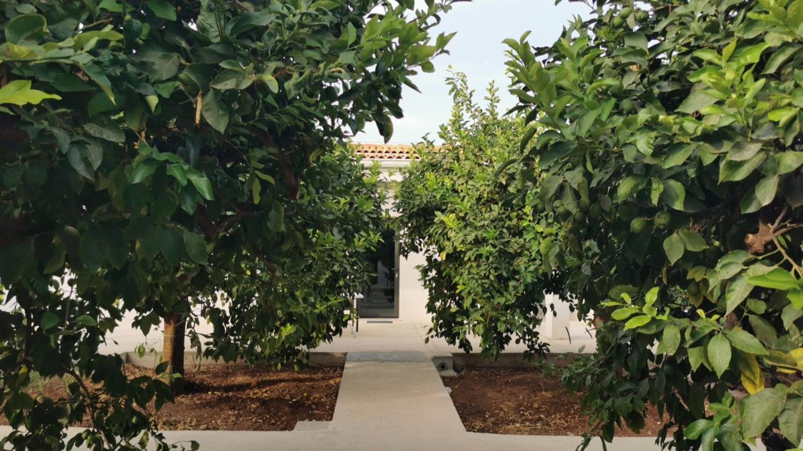 Terra Dei Limoni Otel Lido di Noto Dış mekan fotoğraf