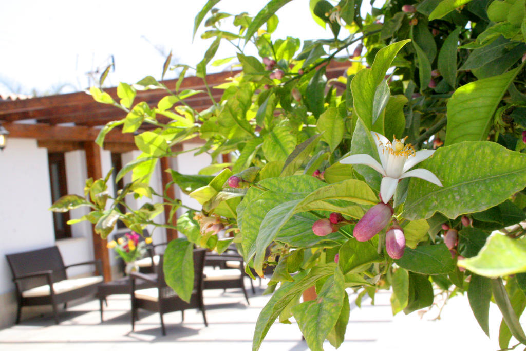 Terra Dei Limoni Otel Lido di Noto Dış mekan fotoğraf