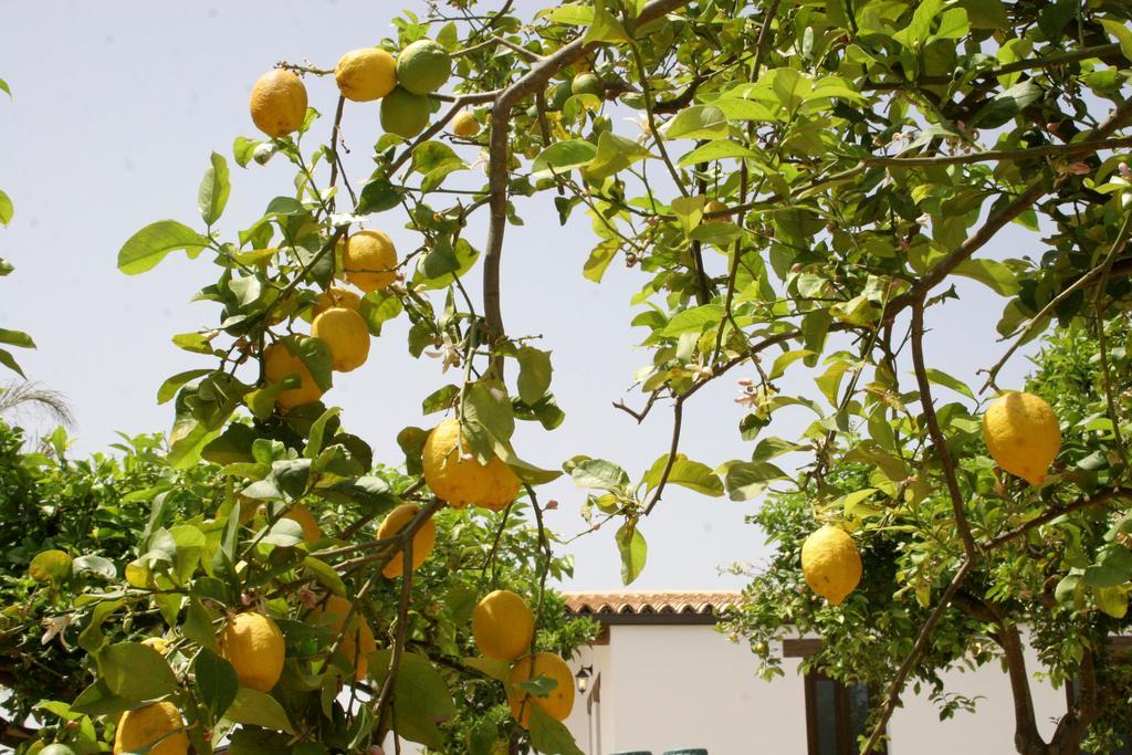 Terra Dei Limoni Otel Lido di Noto Dış mekan fotoğraf